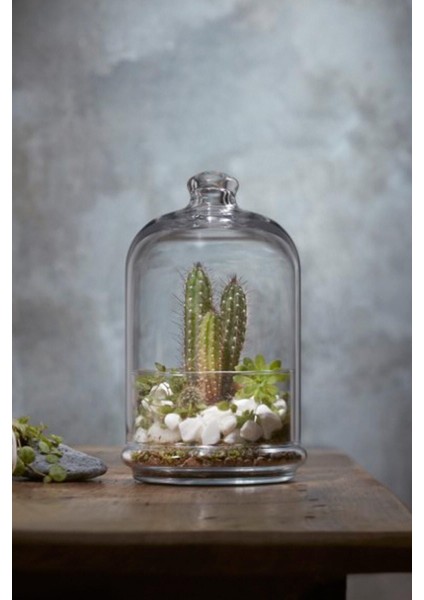 Çok Renkli Mıdı Patısserıe Servıs Fanusu, Şık ve Kullanışlı Mutfak Aksesuarı