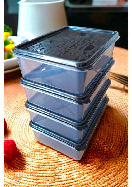 Mikrodalga ve Derin Dondurucu Uyumlu 4'lü Saklama Kabı Seti, 1,7 L, Gri, Mavi Renk fiyatları