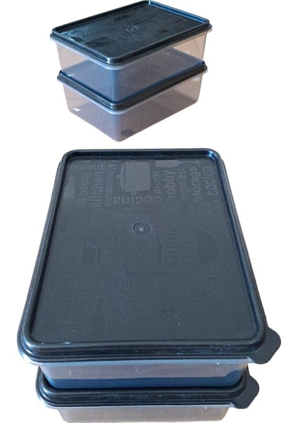 Mikrodalga ve Derin Dondurucu Uyumlu 4'lü Saklama Kabı Seti, 1,7 L, Gri, Mavi Renk