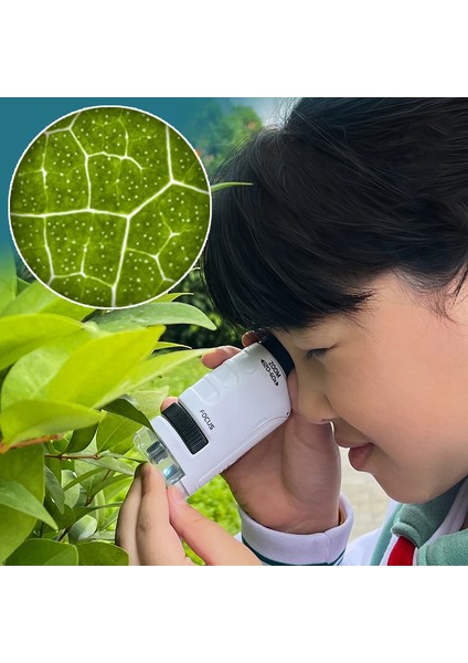 Mikroskop Kiti 60-180X Büyütme Mini El Dijital Çocuk Mikroskobu 21PARÇA Eğitici Set LED Işık fırsatları