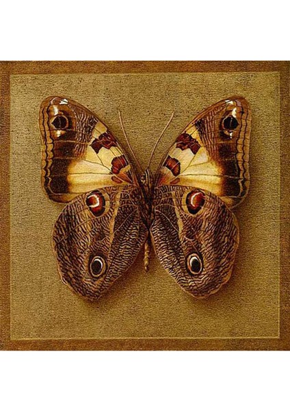 Şık Kanvas Kelebek Tablo, Dekoratif ve Zarif Görsel Parçanız fiyatları