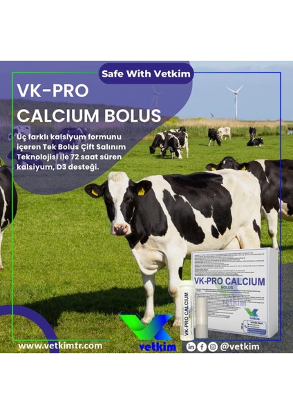 Vk-Pro Calcium Bolus - 12 Adet 180 gr