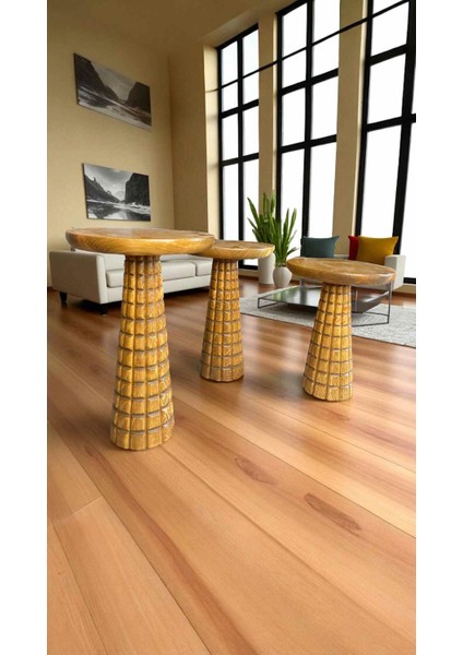 Rustik Mantar Sehpa Takımı – 3’lü Doğal Ahşap Tütün Renk Masif Yan Sehpa modelleri