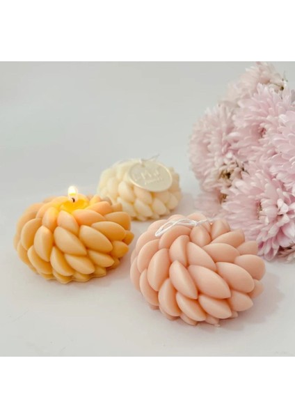 Beyaz Çiçek Mum, Sabun ve Kokulutaş Silikon Kalıp Seti fırsatları