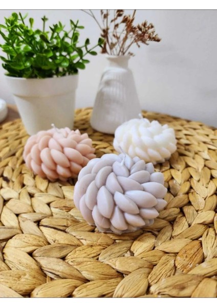 Beyaz Çiçek Mum, Sabun ve Kokulutaş Silikon Kalıp Seti indirimleri