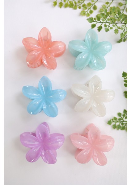 6 Adet Lotus Saç Tokası Buzlu Renk - 6 cm Orta Boy - Hafif ve Dayanıklı