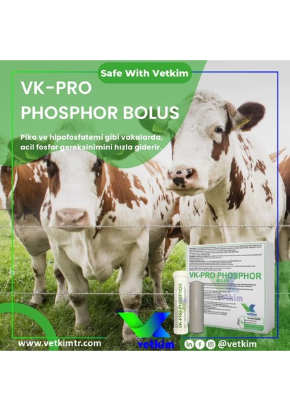 Vk-Pro Phosphor Bolus - 12 Adet 185 gr
