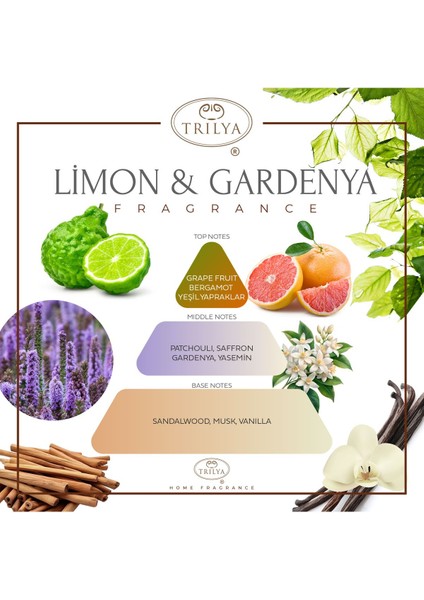 Yeşil Çiçek Taş Kapaklı Limon ve Gardenya Kokulu Vegan Mum modelleri