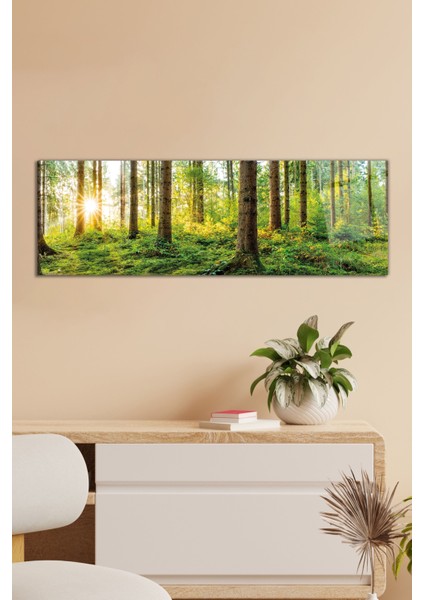 Güneş Yeşil Doğa Orman Panoramik Cam Tablo, Modern Ev ve Ofis Dekoru, Hediyelik Duvar Dekorasyonu