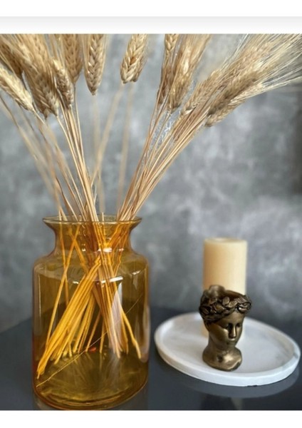 Altın Renkli Cam Vazo ve Saksı Seti, Şık Dekoratif Çiçeklik