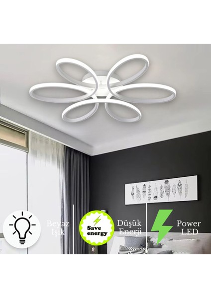 Modern LED Plafonyer, Beyaz Kasa ve Işık ile Şık Tavan Aydınlatması