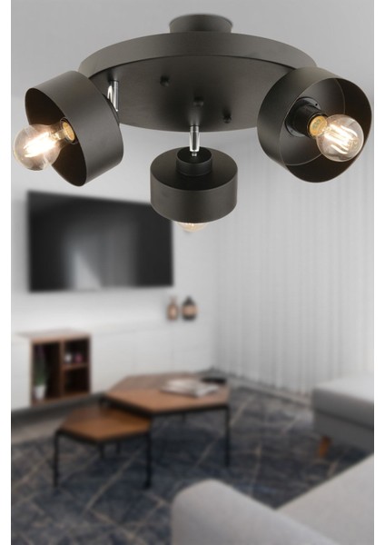 Modern 3'lü Siyah Plafonyer, Genç Odası, Mutfak ve Salon Şık Aydınlatma.