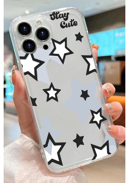 Iphone 16 Pro Max Uyumlu Desenli Lüx Şeffaf Silikon Kılıf Mnl8