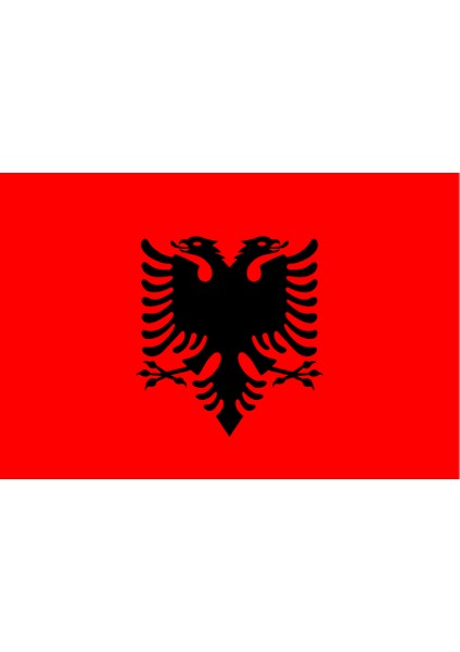 Arnavutluk Ülke Bayrağı 45X30CM Duvar Tablosu Çerçevesiz Pvc Tablo