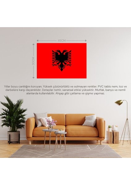 Arnavutluk Ülke Bayrağı 45X30CM Duvar Tablosu Çerçevesiz Pvc Tablo fiyatları