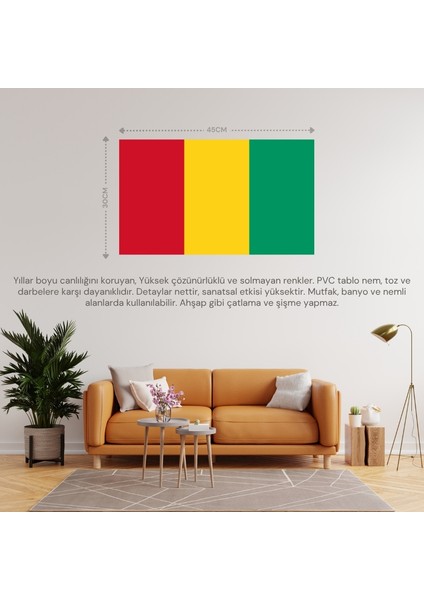 Gine Ülke Bayrağı 45X30CM Duvar Tablosu Çerçevesiz Pvc Tablo fiyatları