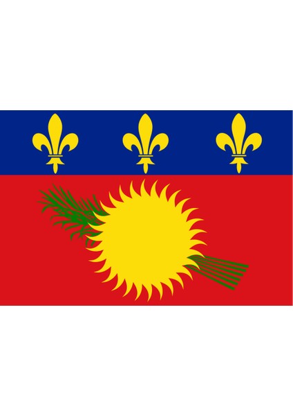 Guadalup Ülke Bayrağı 45X30CM Duvar Tablosu Çerçevesiz Pvc Tablo