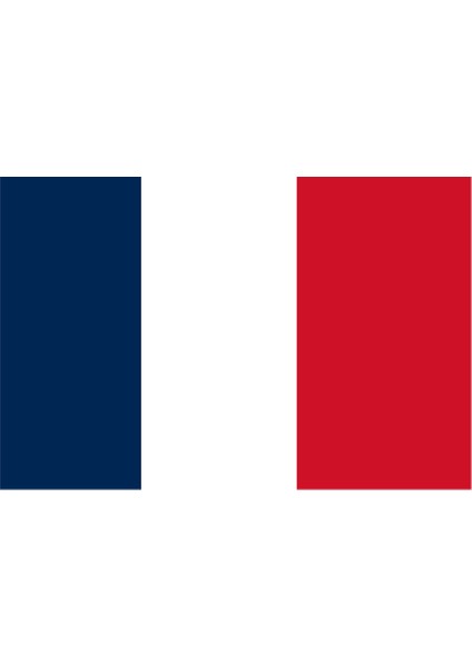 Yeni Kaledonya Ülke Bayrağı 45X30CM Duvar Tablosu Çerçevesiz Pvc Tablo