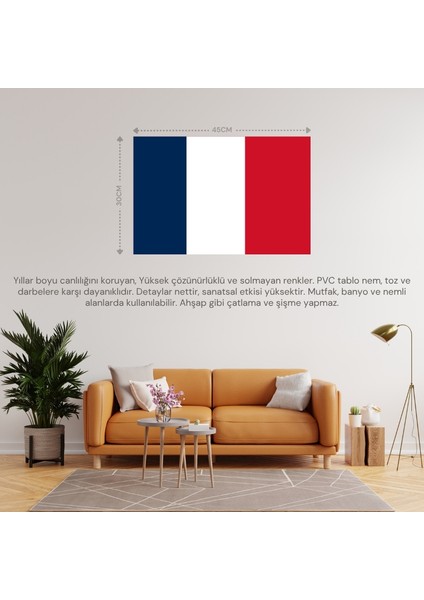 Yeni Kaledonya Ülke Bayrağı 45X30CM Duvar Tablosu Çerçevesiz Pvc Tablo fiyatları