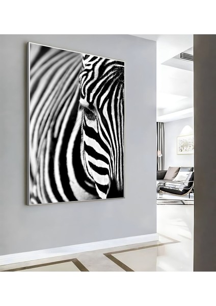 |zebra Modeli ( CKD-146) |çerçeveli Kanvas Tablo Ckdikey