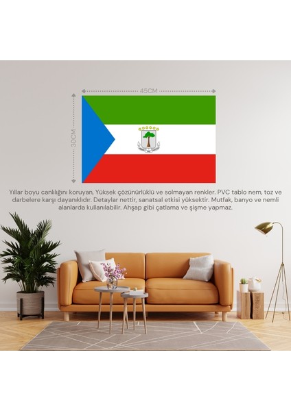 Ekvator Ginesi Ülke Bayrağı 45X30CM Duvar Tablosu Çerçevesiz Pvc Tablo fiyatları