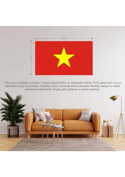 Vietnam Ülke Bayrağı 45X30CM Duvar Tablosu Çerçevesiz Pvc Tablo fiyatları