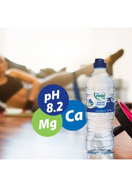 Su Pet Şişe Sporcu (pH 8, 1) - 12 x 0, 75L fiyatları