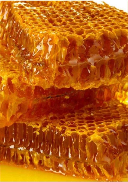 Kendi Arılarımızdan Hakkari Balı fiyatları