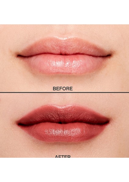 Vivienne Sabo Nude Createur Lipstick 10 Mauve Pink - Creamy Texture & Flawless Coverage modelleri