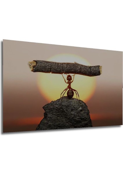 Şık Ahşap Karınca Temalı Yatay Duvar Dekoru, Modern ve Sıcak Dokunuş modelleri