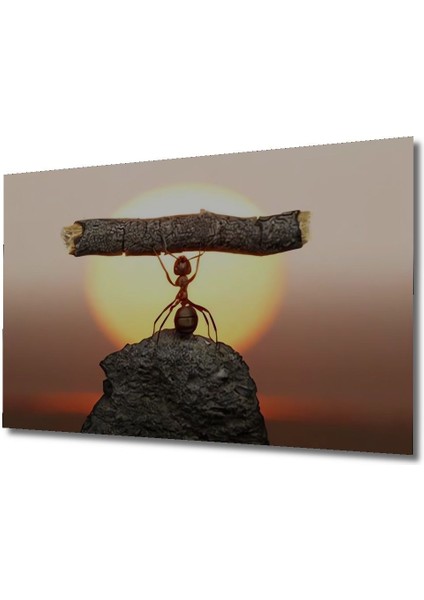 Şık Ahşap Karınca Temalı Yatay Duvar Dekoru, Modern ve Sıcak Dokunuş fırsatları