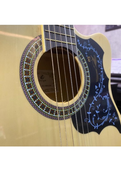 4/4 Klasik Gitar EC-309YN