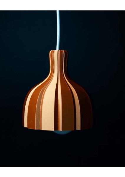 2'li Modern Endüstriyel Sarkıt Avize, Şık ve Şehirli Dekorasyon Parçası