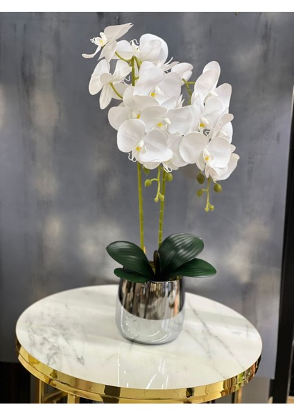 Çift Dallı Islak Yapay Orkide Gümüş Saksı, Şık ve Zarif Dekoratif Bitki