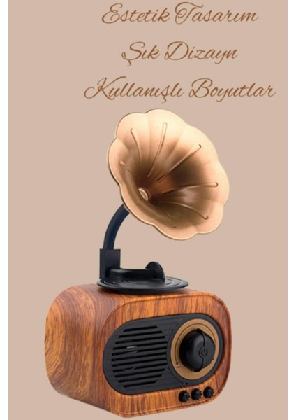 Mini Nostaljik Radyo, Bluetooth, Usb, Sd ile Şık ve Taşınabilir Ses Cihazı fiyatları