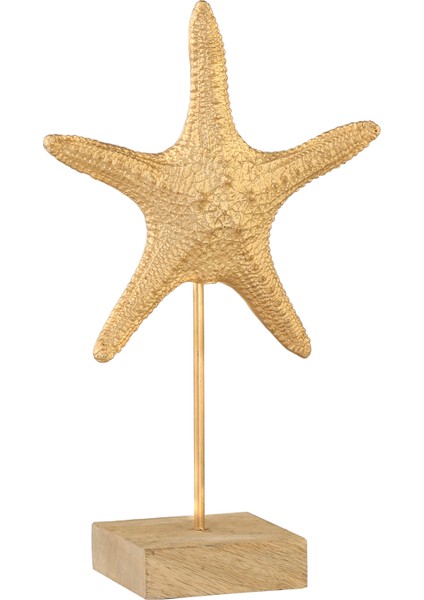 Biblo modelleri