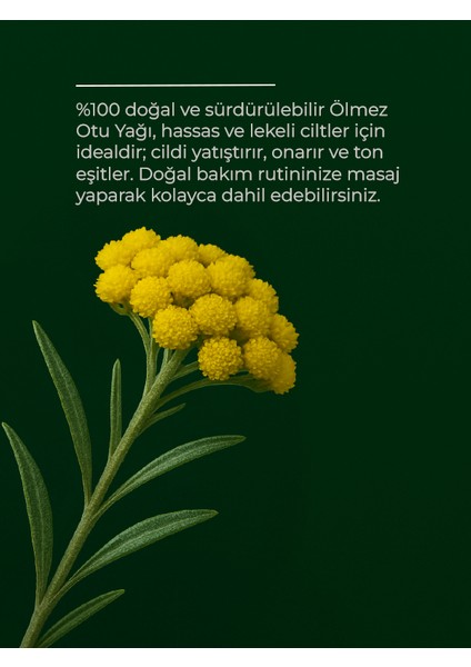 Altın Ölmez Otu Yağı (Helichrysum Oil) 20 ml modelleri