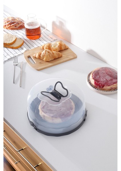 Gri Kek Saklama Kabı, Fanus ve Kilitli Borcam Taşıma Kabı