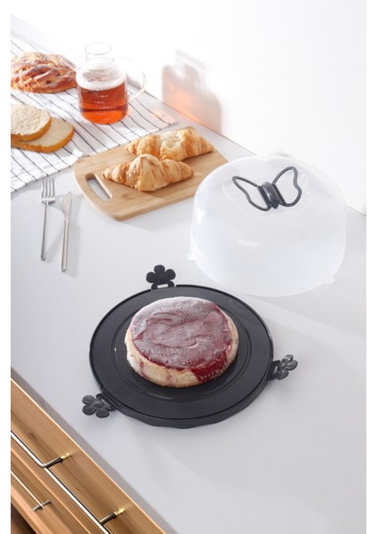 Gri Kek Saklama Kabı, Fanus ve Kilitli Borcam Taşıma Kabı modelleri