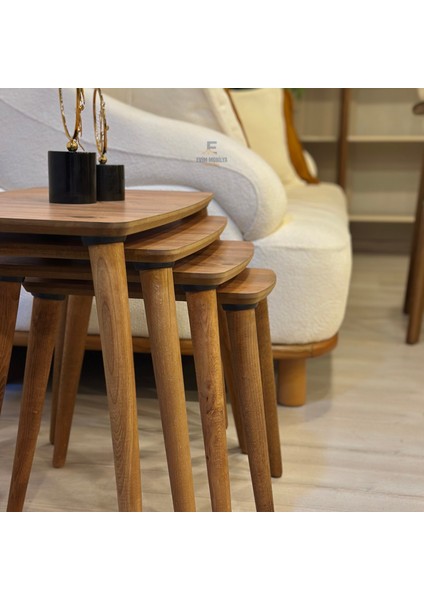 Evim Mobilya Lüks 1. Sınıf Mdf Tek Katlı 4’lü Zigon Sehpa Seti – Beyaz & Ceviz, Modern Tasarım fırsatları