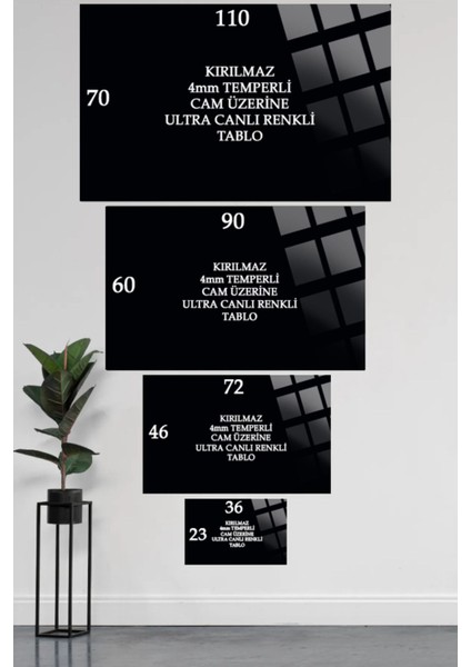 Canlı Renkli 4mm Kırılmaz Temperli Cam Tablo, Yüksek Çözünürlük fırsatları