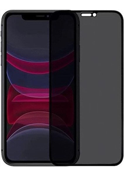 Apple iPhone Uyumlu Proof Dust Tools Hayalet Full Cam Koruyucu (Siyah) NT-104132