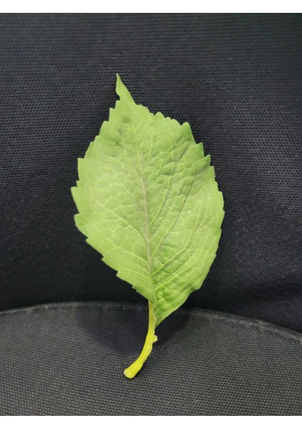 Yapay Tek Dal Dekoratif Yeşil Yaprak – Gerçeğe Yakın Dokulu ve Detaylı Damarlı Tasarım