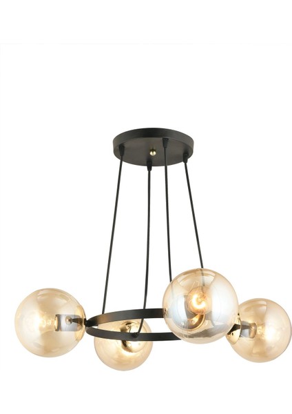 Şık Siyah 4'lü Halka Bal Glop Cam Modern Avize modelleri