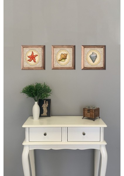 Turuncu 3'lü Ahşap Çerçeveli Taş Tablo Seti 28X28 cm Deniz, Mari, Kabuk, Yıldız modelleri