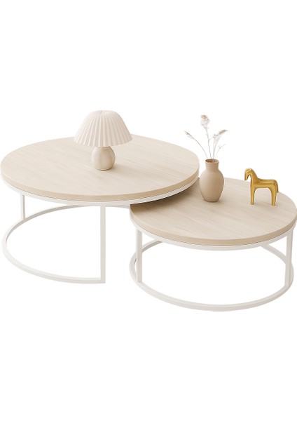 Ikili Orta Sehpa Beyaz Metal Traverten Üst Panel modelleri