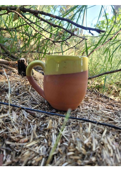 Sarı Kurplu Bardak fiyatları