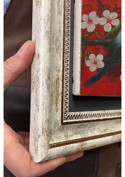 Renkli Kuş Temalı Çerçeveli Duvar Dekoru 30X30 cm indirimleri