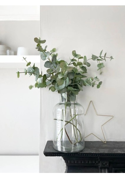 Cansas Şoklanmış Okaliptus Demeti Kurutulmuş Okaliptus 5-6 Dal fiyatları