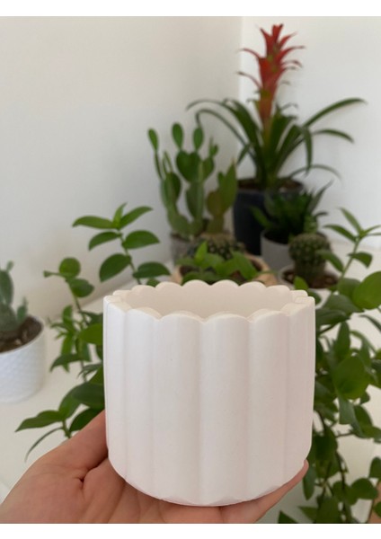 Dalga Desenli Beyaz Beton Sukulent Saksı
